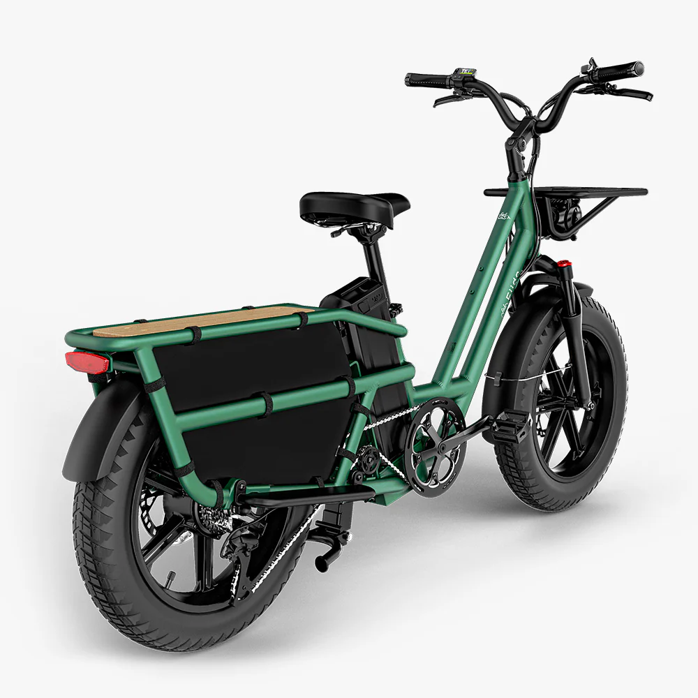 Fiido T2 Longtail Cargo E-bike - Image 13